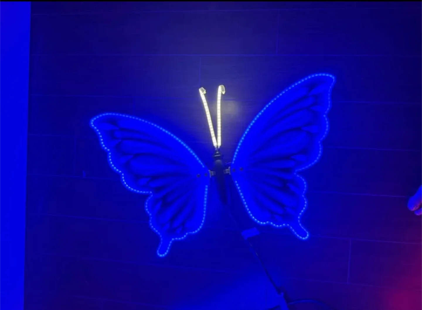 Outdoor Halloween Lights Glowing Butterfly image indicator(2)