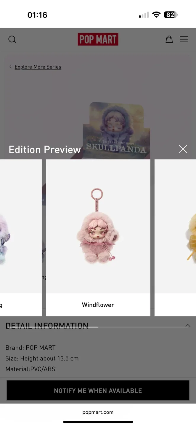 Skullpanda & Pop Mart Plush Pendants image indicator(6)