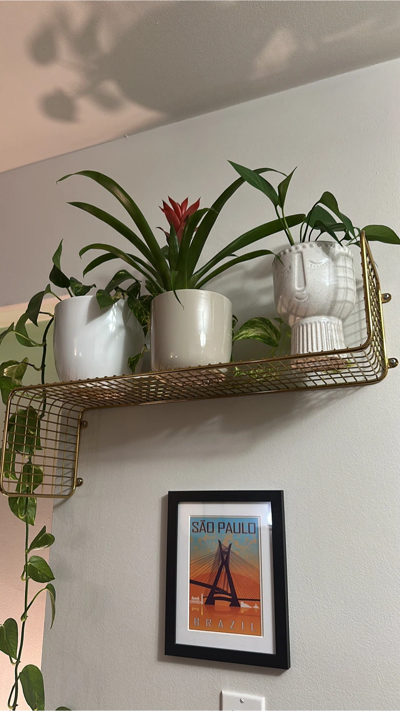 Gold Wire Wall Shelf
