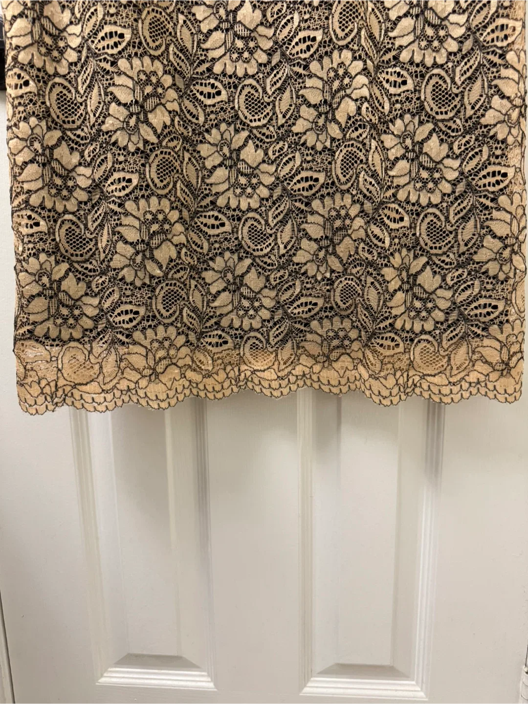 Calvin Klein Lace Cocktail Dress - Size 6 image indicator(3)