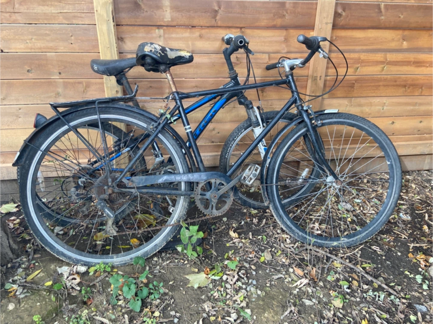 Mountain/City Bikes
