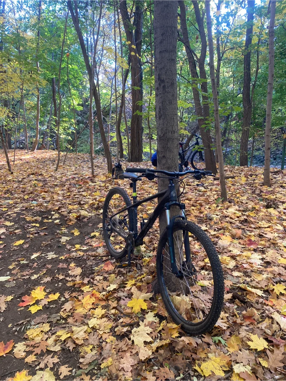 GT avalanche Mountain Bike medium image indicator(2)