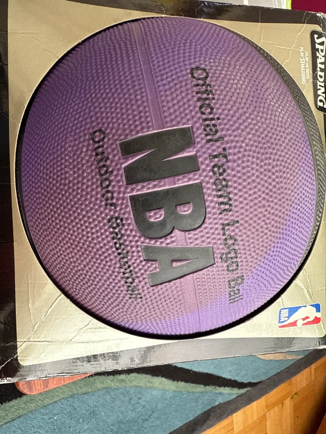 Spalding NBA Toronto Raptors Team Basketball Size 7 image indicator(4)