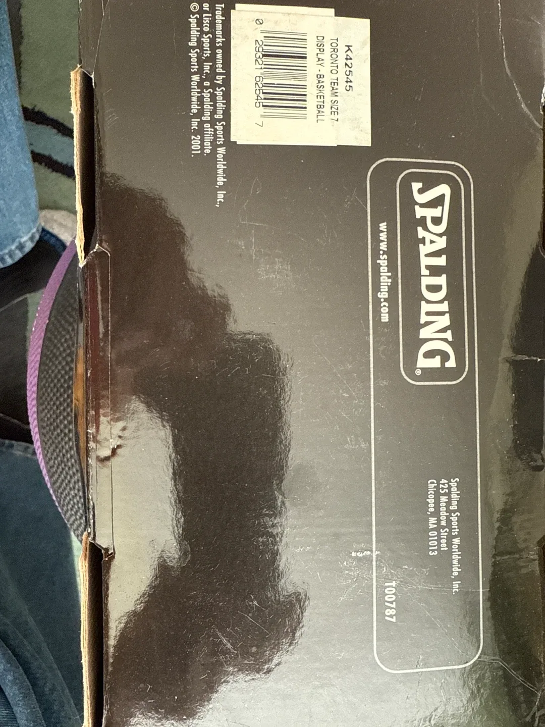 Spalding NBA Toronto Raptors Team Basketball Size 7 image indicator(3)