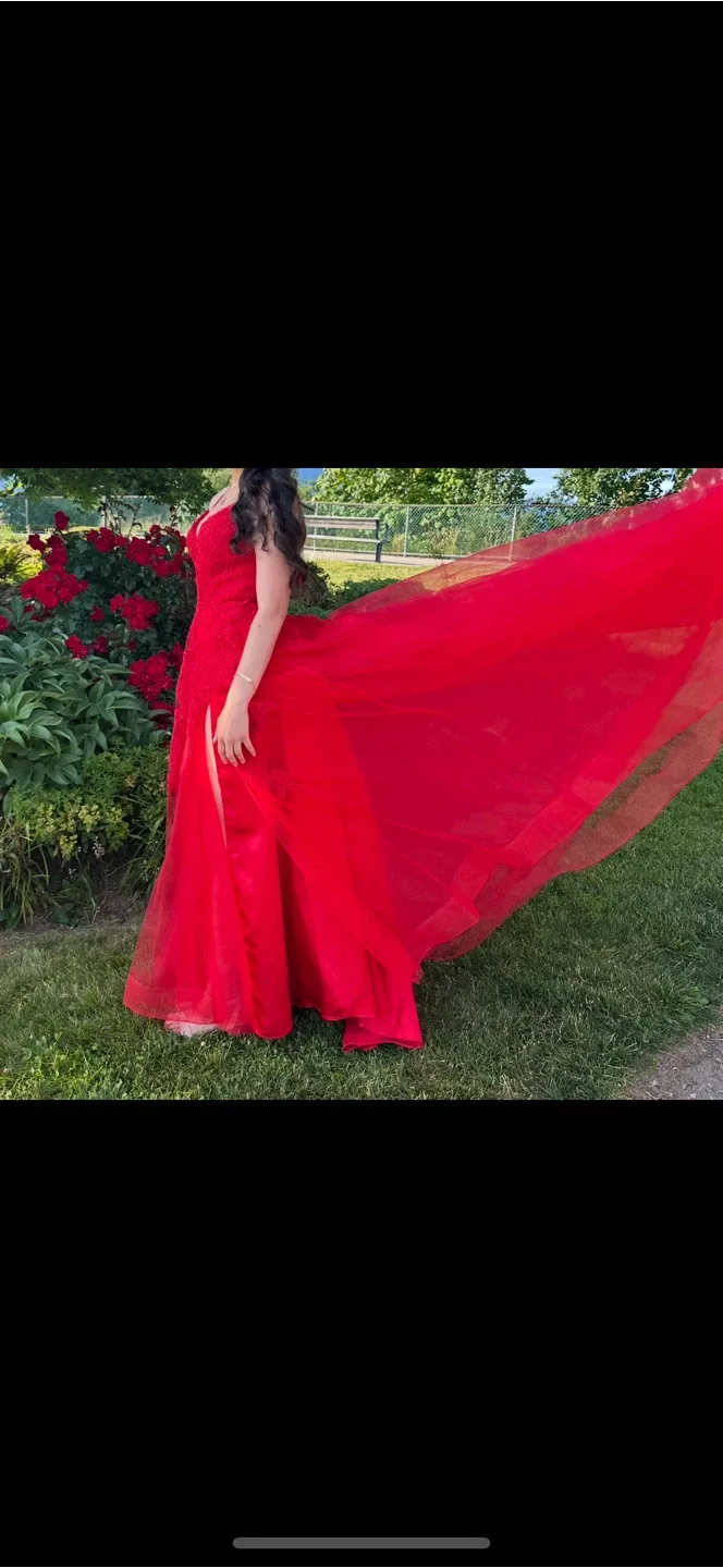 Martine Willem size 2 Red Prom Dress image indicator(7)