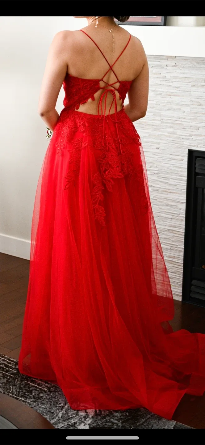 Martine Willem size 2 Red Prom Dress image indicator(3)