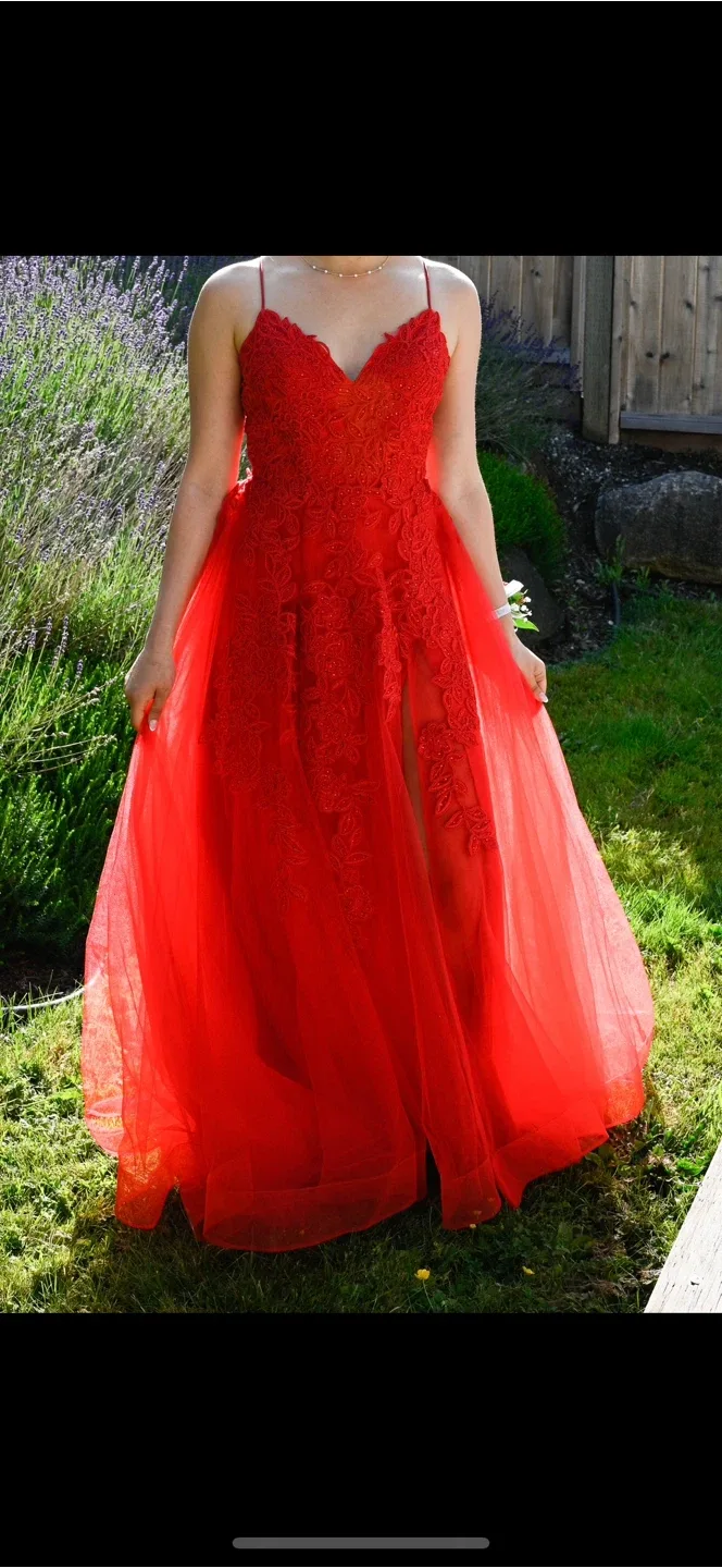 Martine Willem size 2 Red Prom Dress image indicator(6)