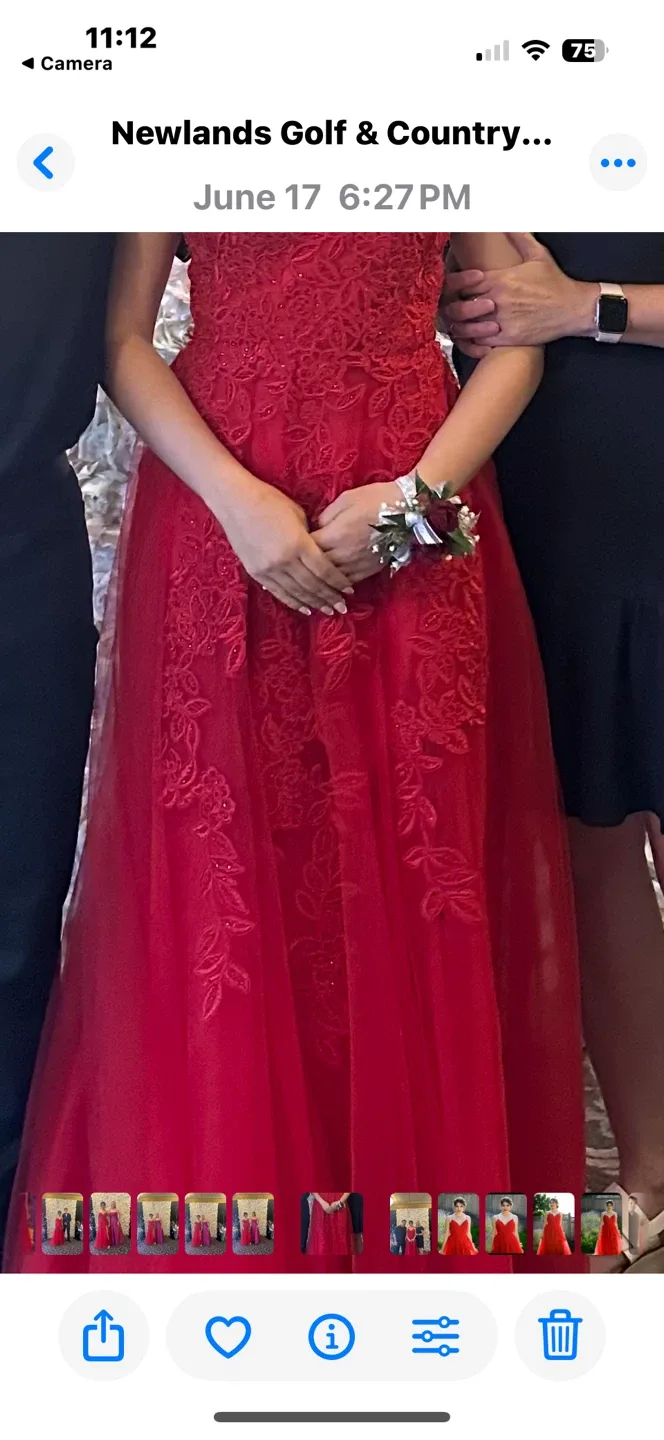 Martine Willem size 2 Red Prom Dress image indicator(9)