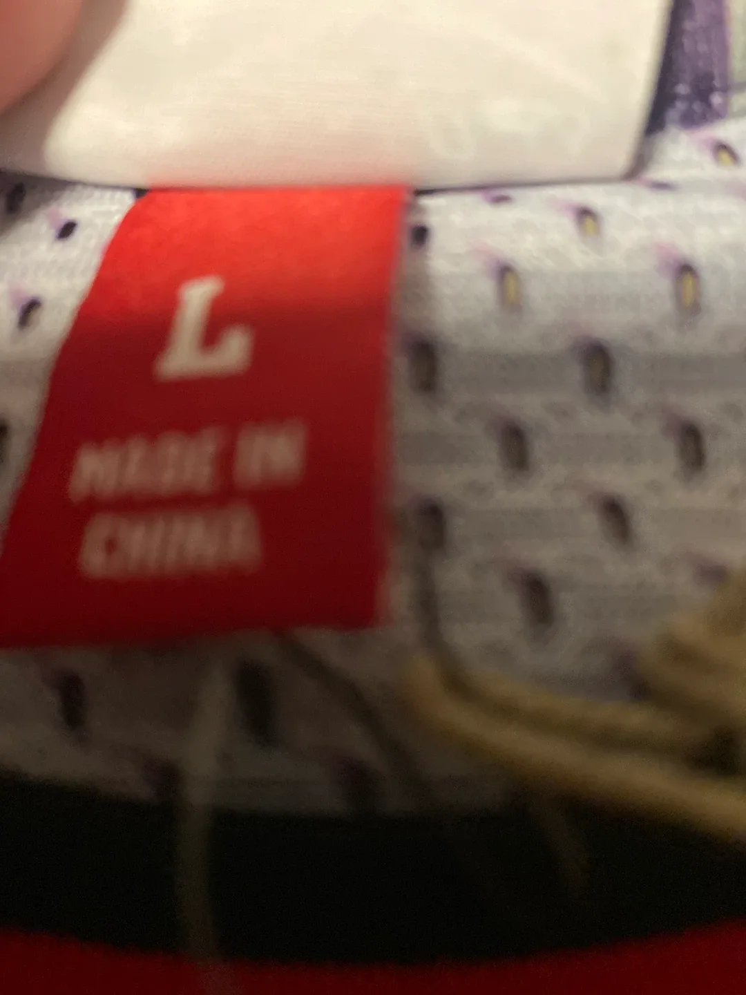 Mitchell & Ness Toronto Raptors Vince Carter Jersey - L image indicator(2)