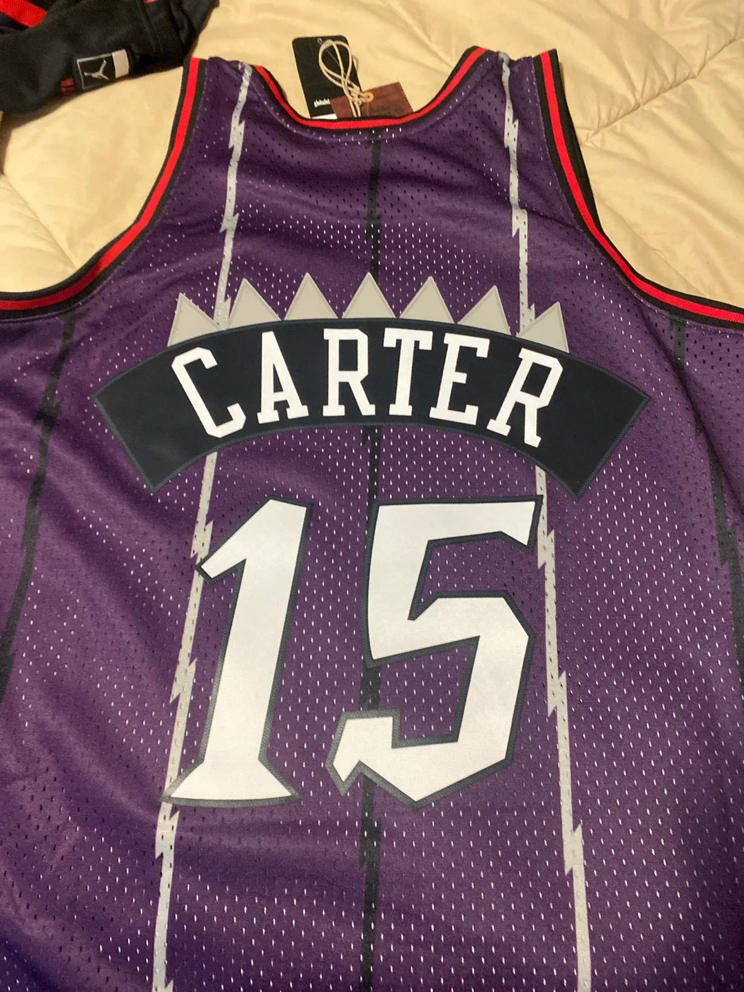 Mitchell & Ness Toronto Raptors Vince Carter Jersey - L image indicator(3)