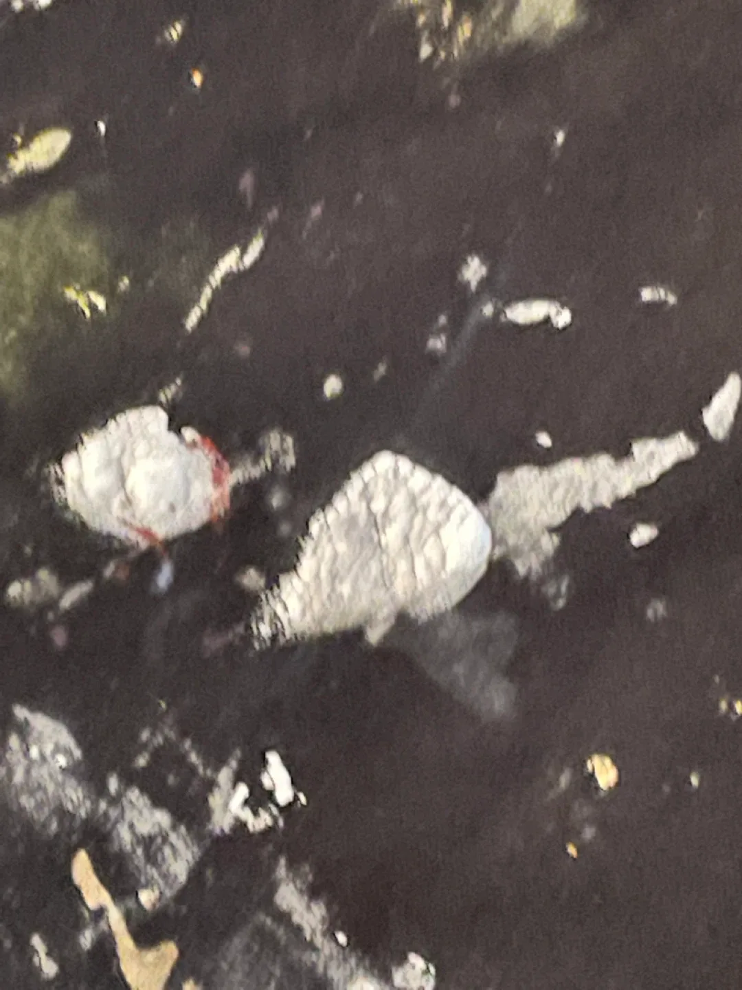 Shirt art image indicator(9)