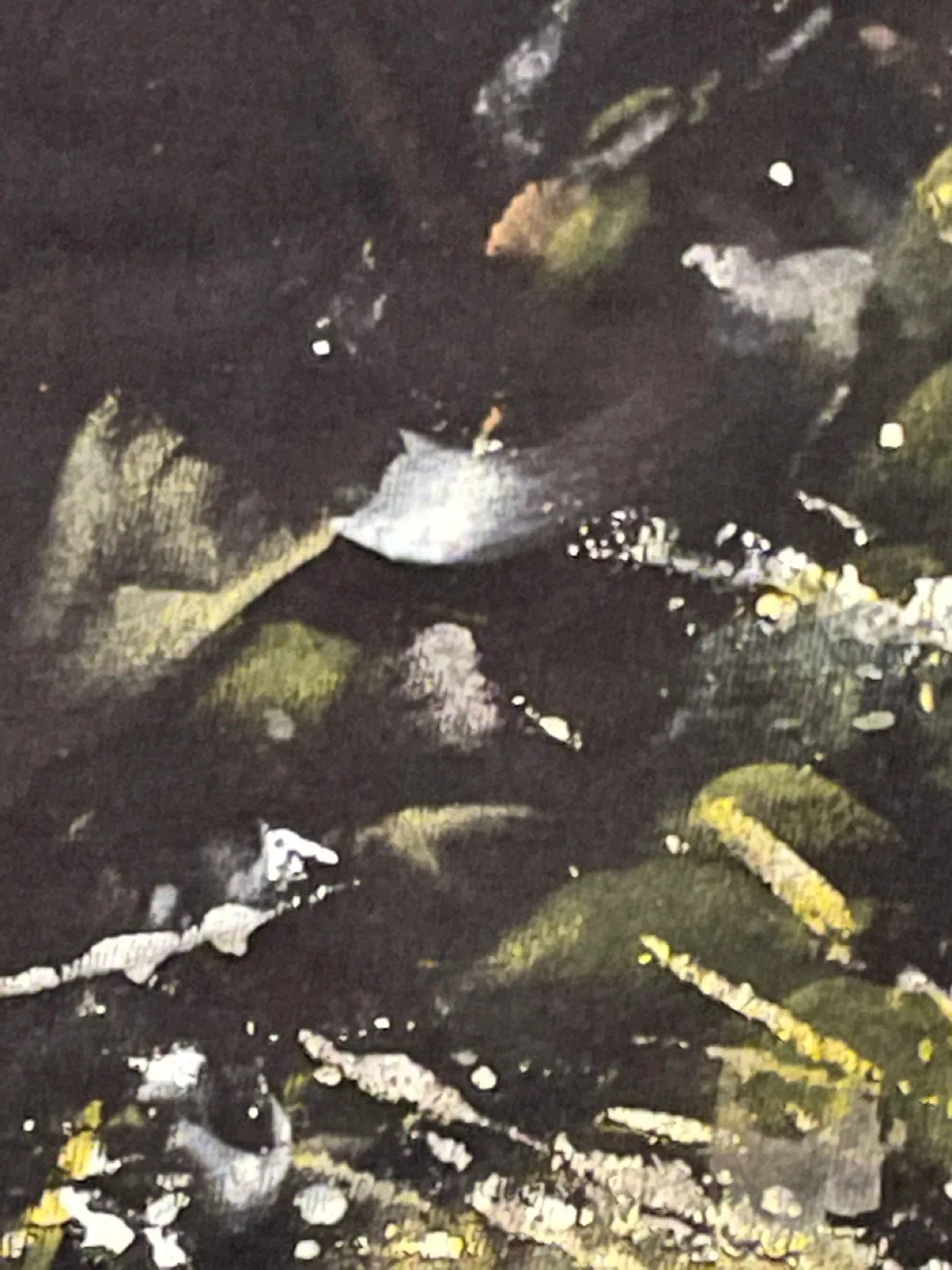 Shirt art image indicator(7)