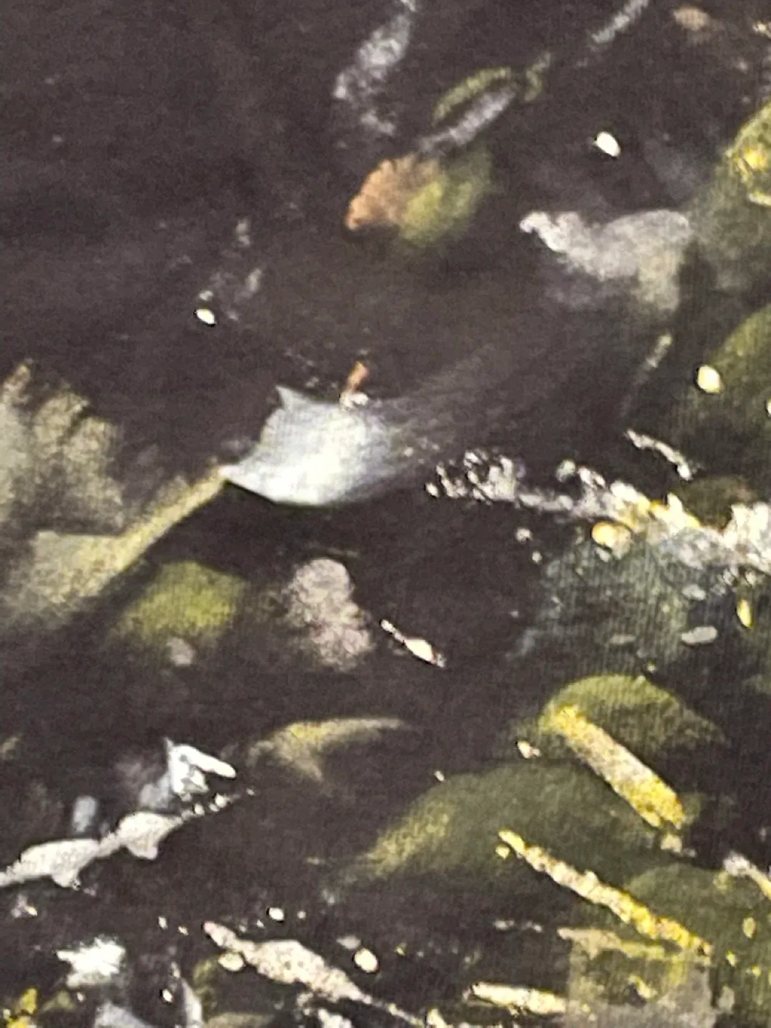 Shirt art image indicator(5)