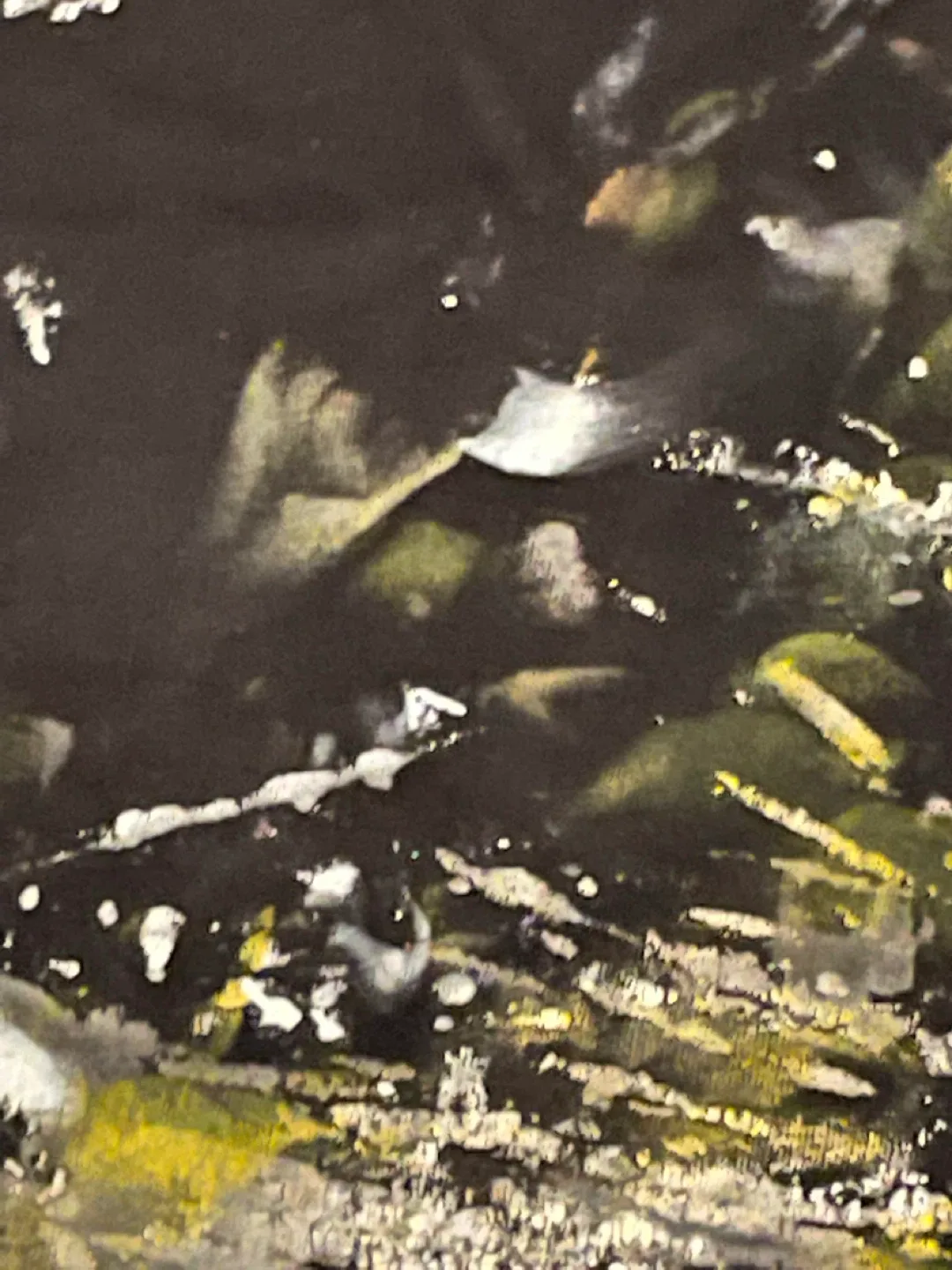 Shirt art image indicator(3)