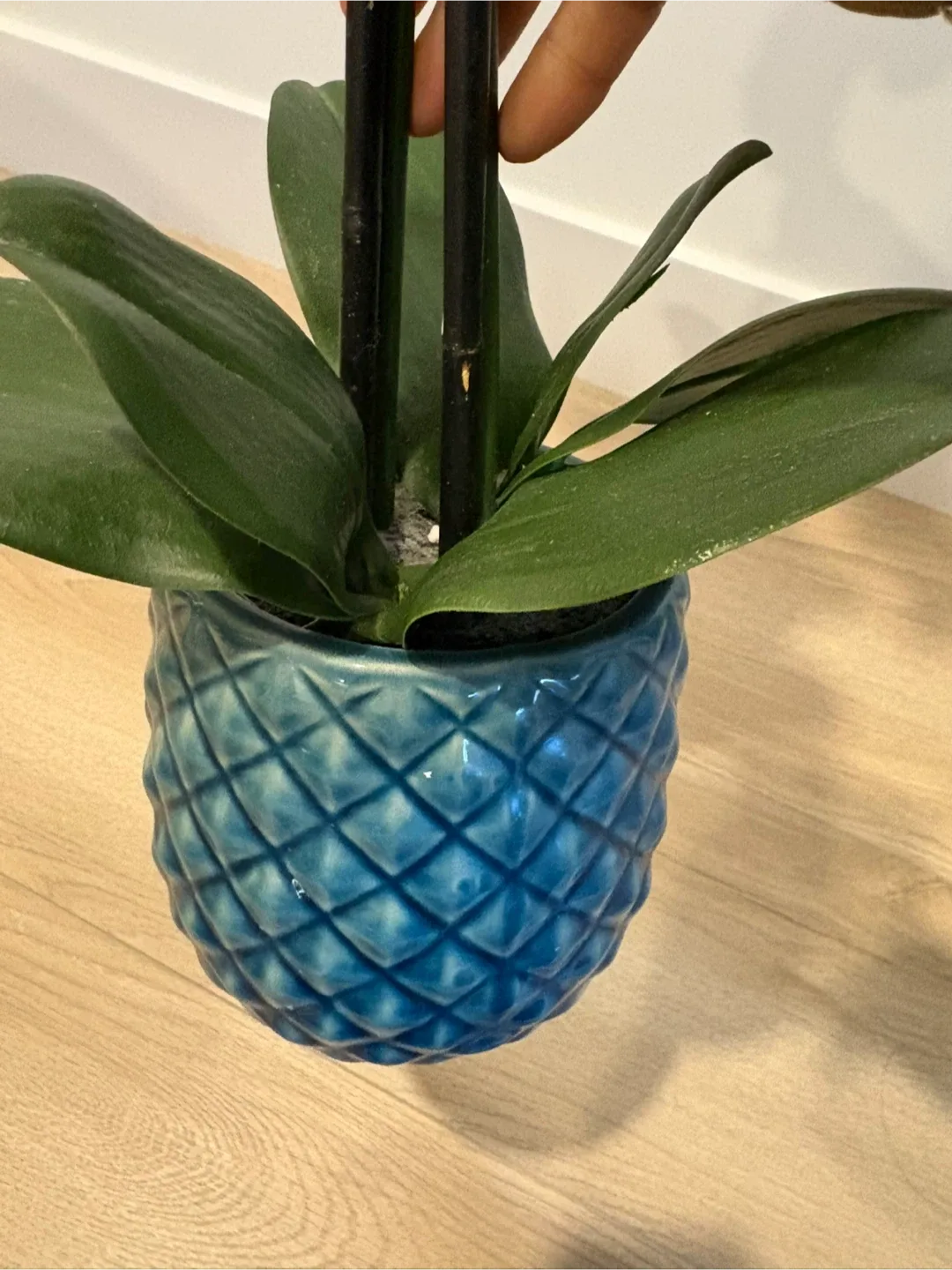 Artificial White Orchid in Blue Pot image indicator(3)