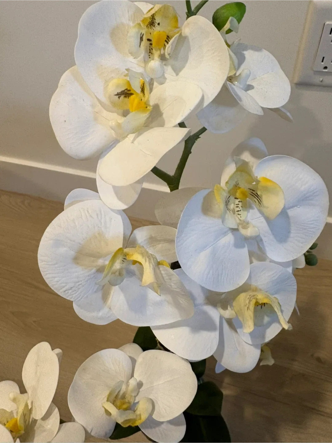 Artificial White Orchid in Blue Pot image indicator(2)