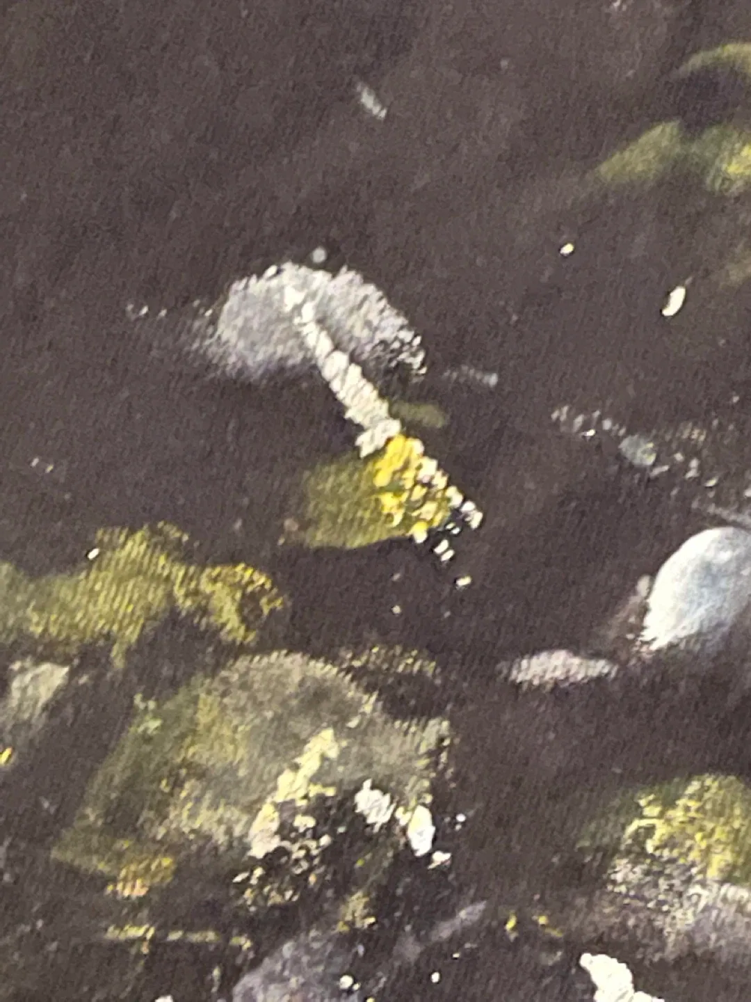 Art image indicator(5)