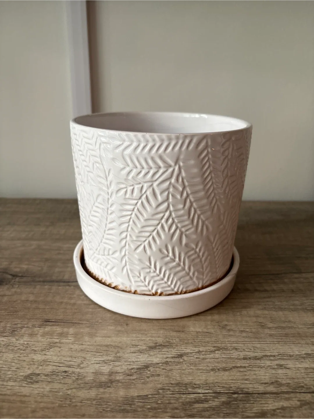 White Plant Pot with Saucer thumbnail
