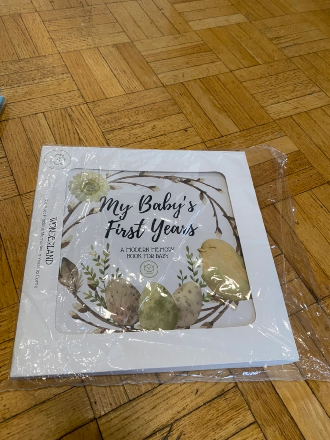 Wonderland Baby's First Years Memory Book