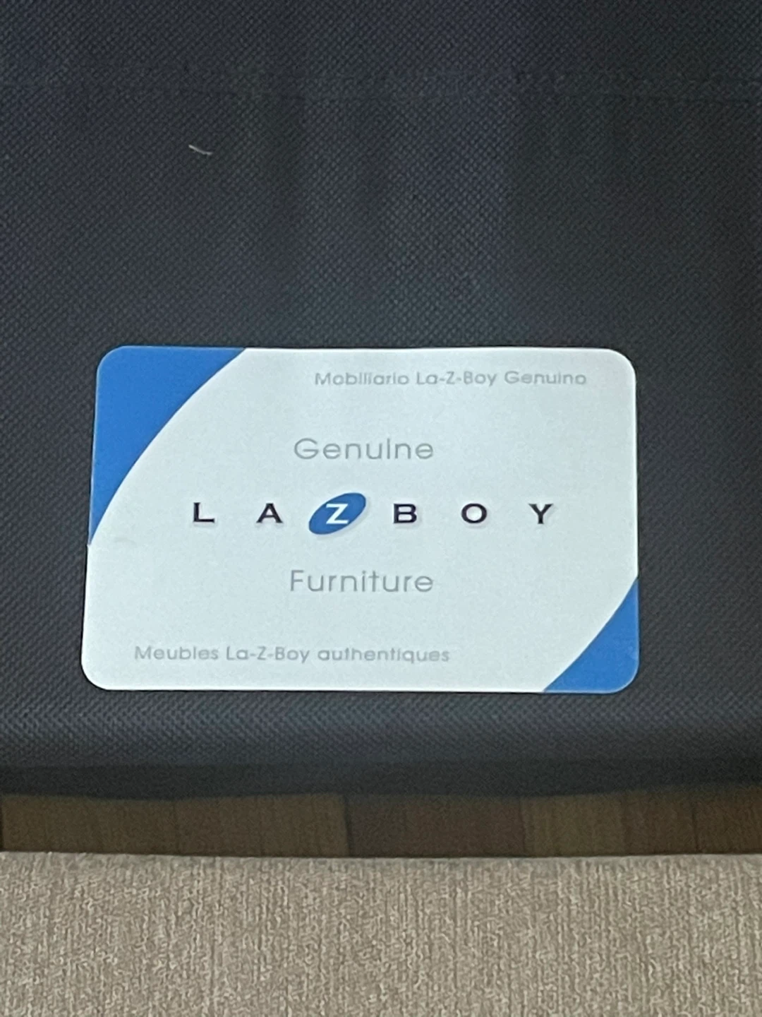 La-Z-Boy Loveseat Sleeper Sofa - photo 3