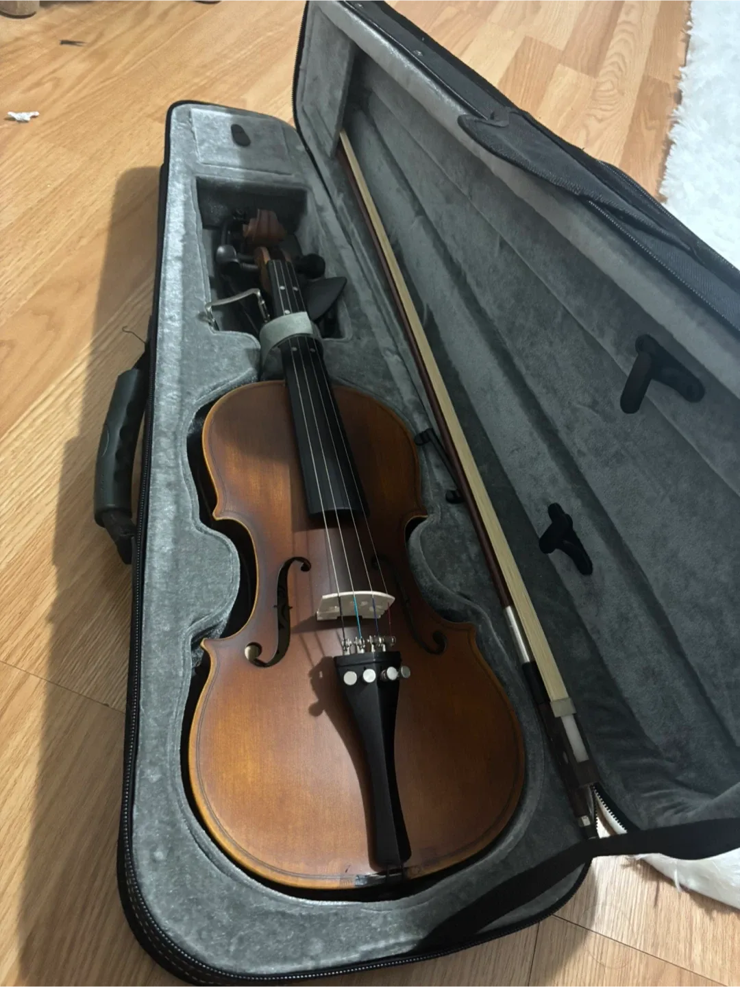 Eastar Violin with Case and Bow image indicator(2)