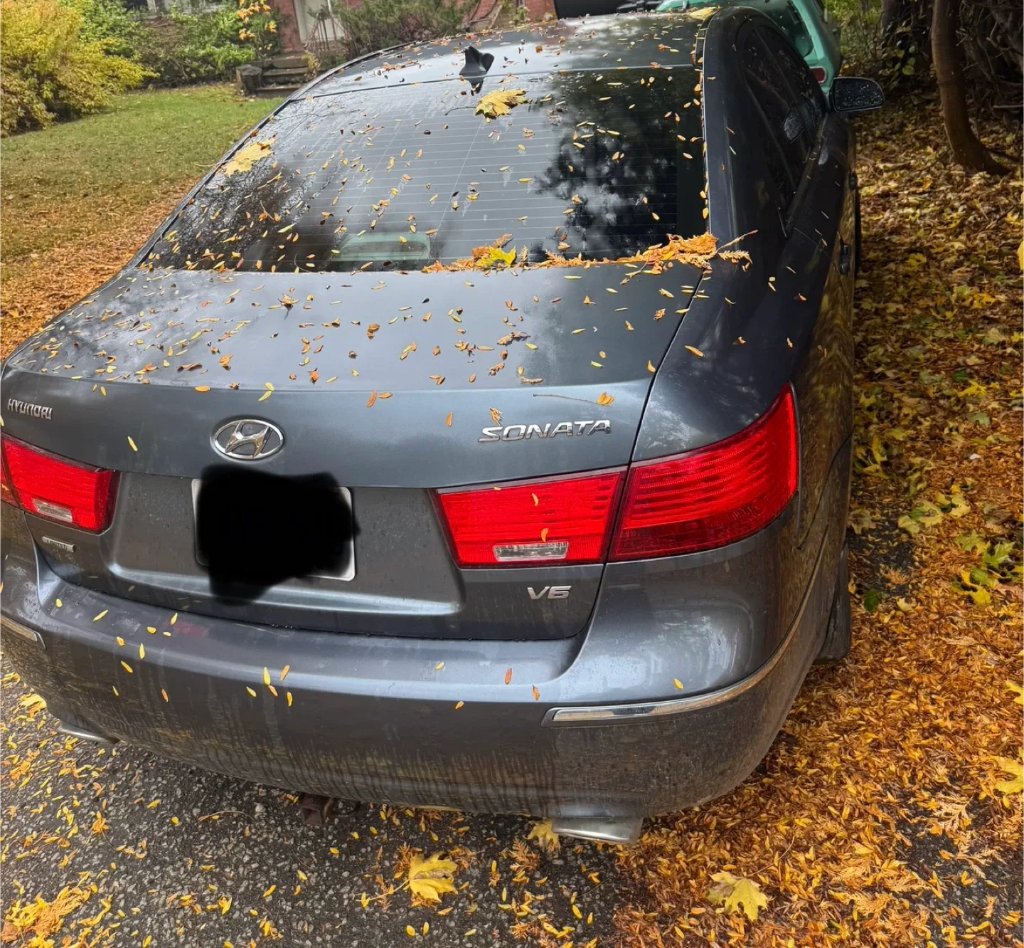 Hyundai Sonata 2009 image indicator(2)