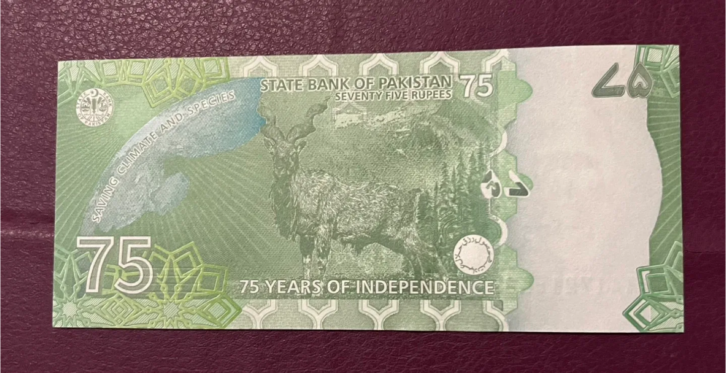 Pakistan 75 Rupees Banknote image indicator(2)