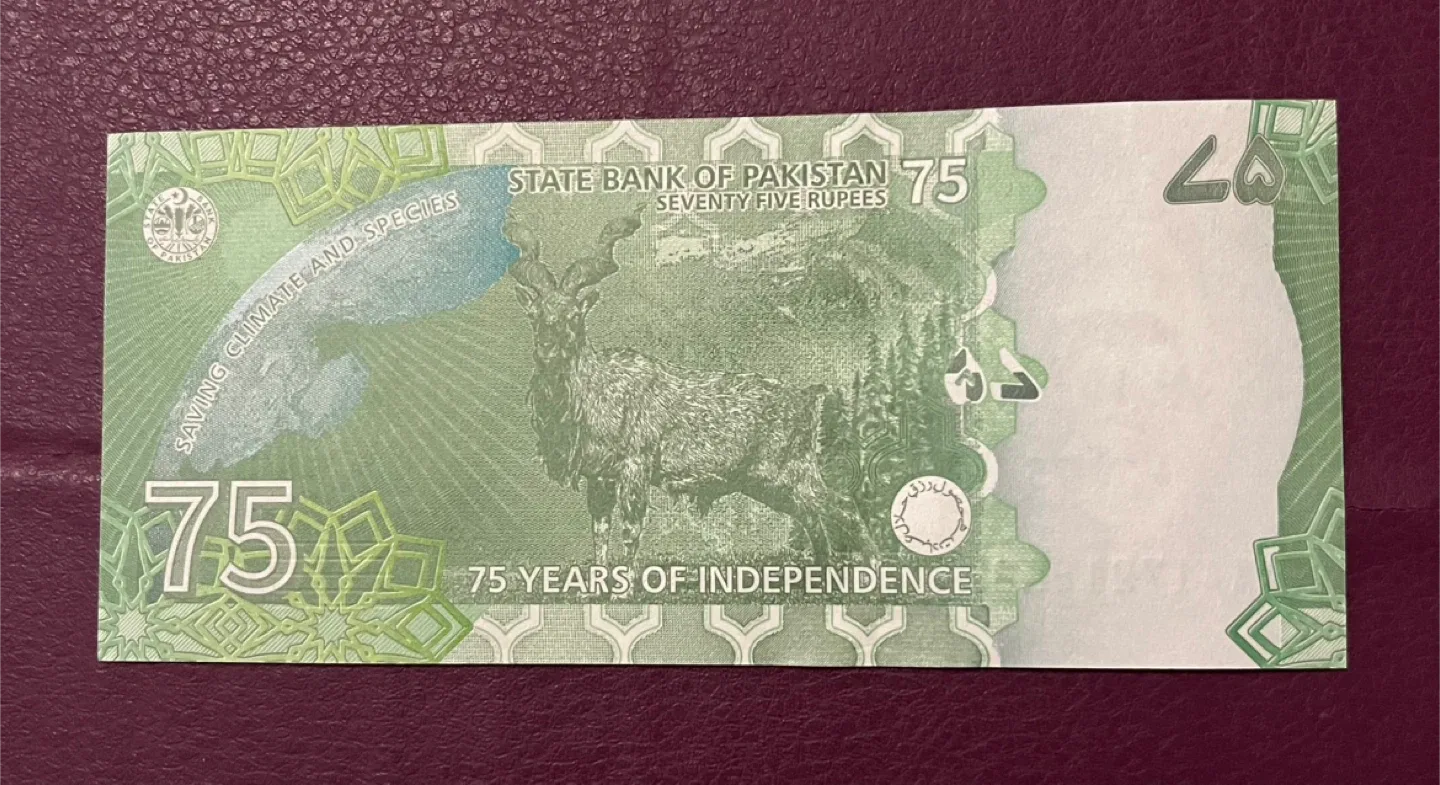 Pakistan 75 Rupees Banknote image indicator(3)