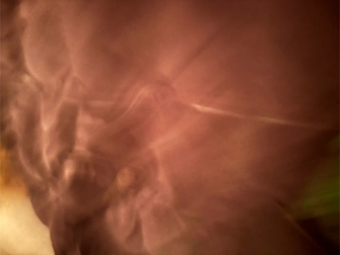 Leaf Down-filled Winter Coat - Size L image indicator(7)