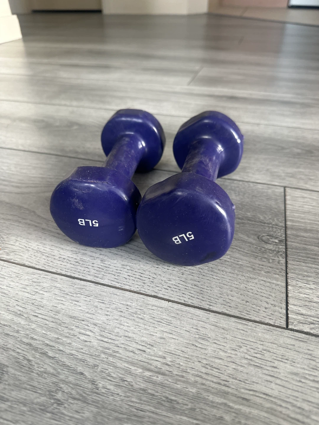 Pair of 5 lb Dumbbells