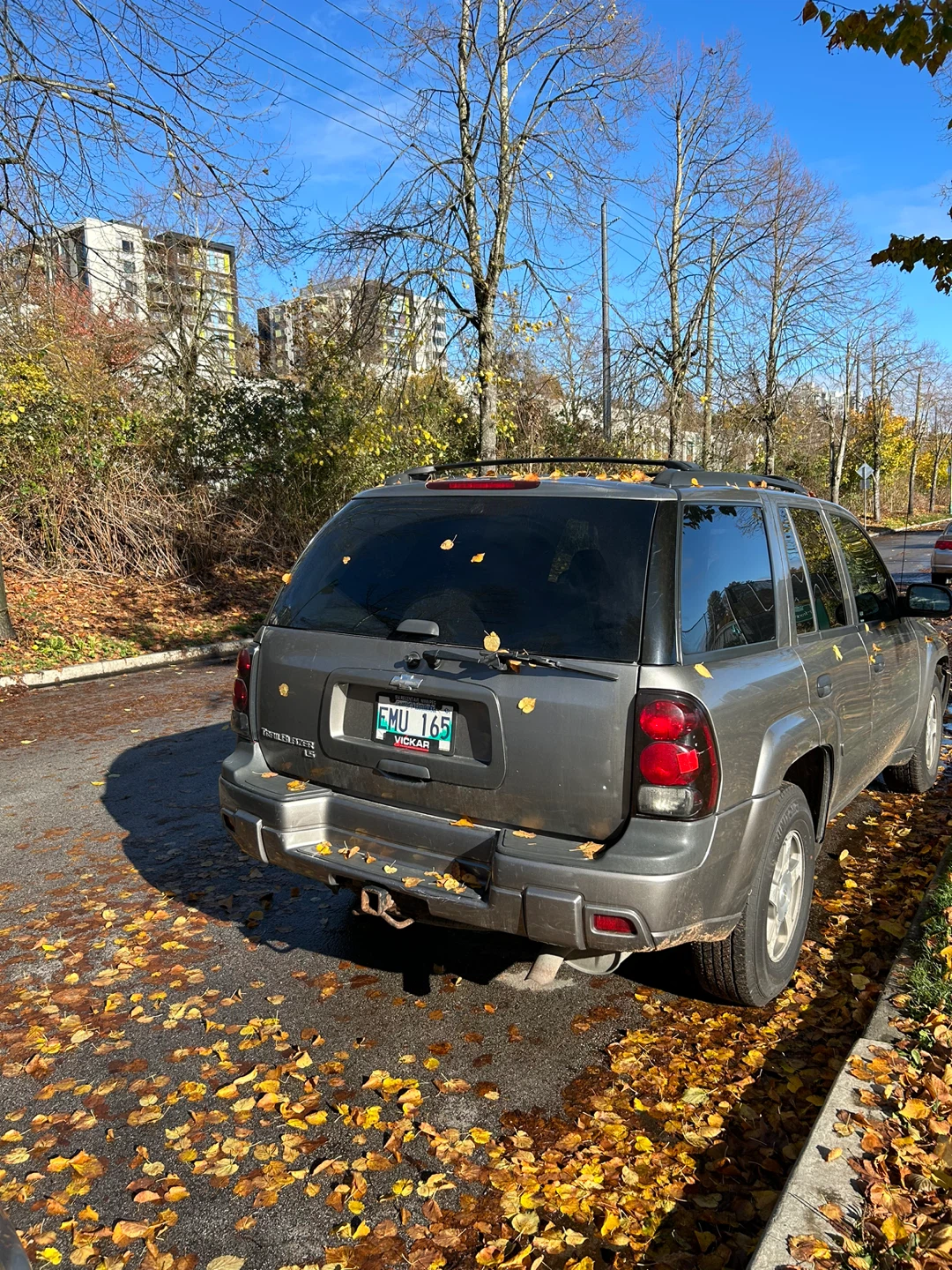 2006 Chevrolet TrailBlazer LS 6 clyn 4 wheel drive - photo 4