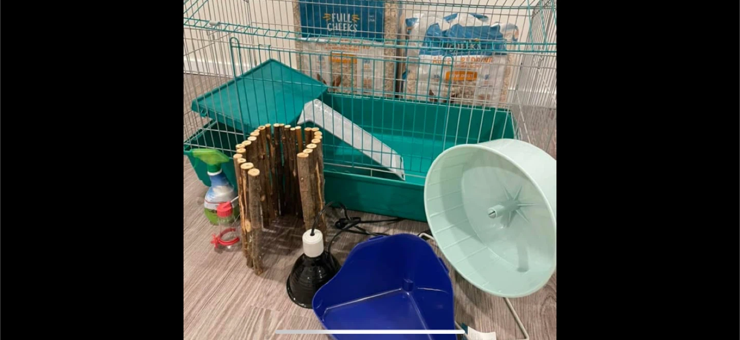 Hamster Cage & Accessories - photo 2