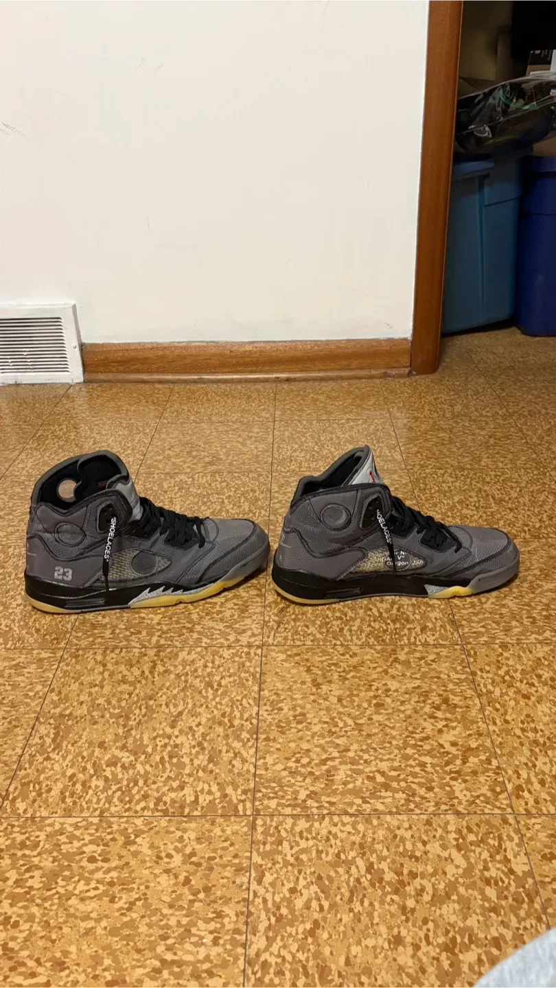 Jordan 5 Off-White image indicator(2)