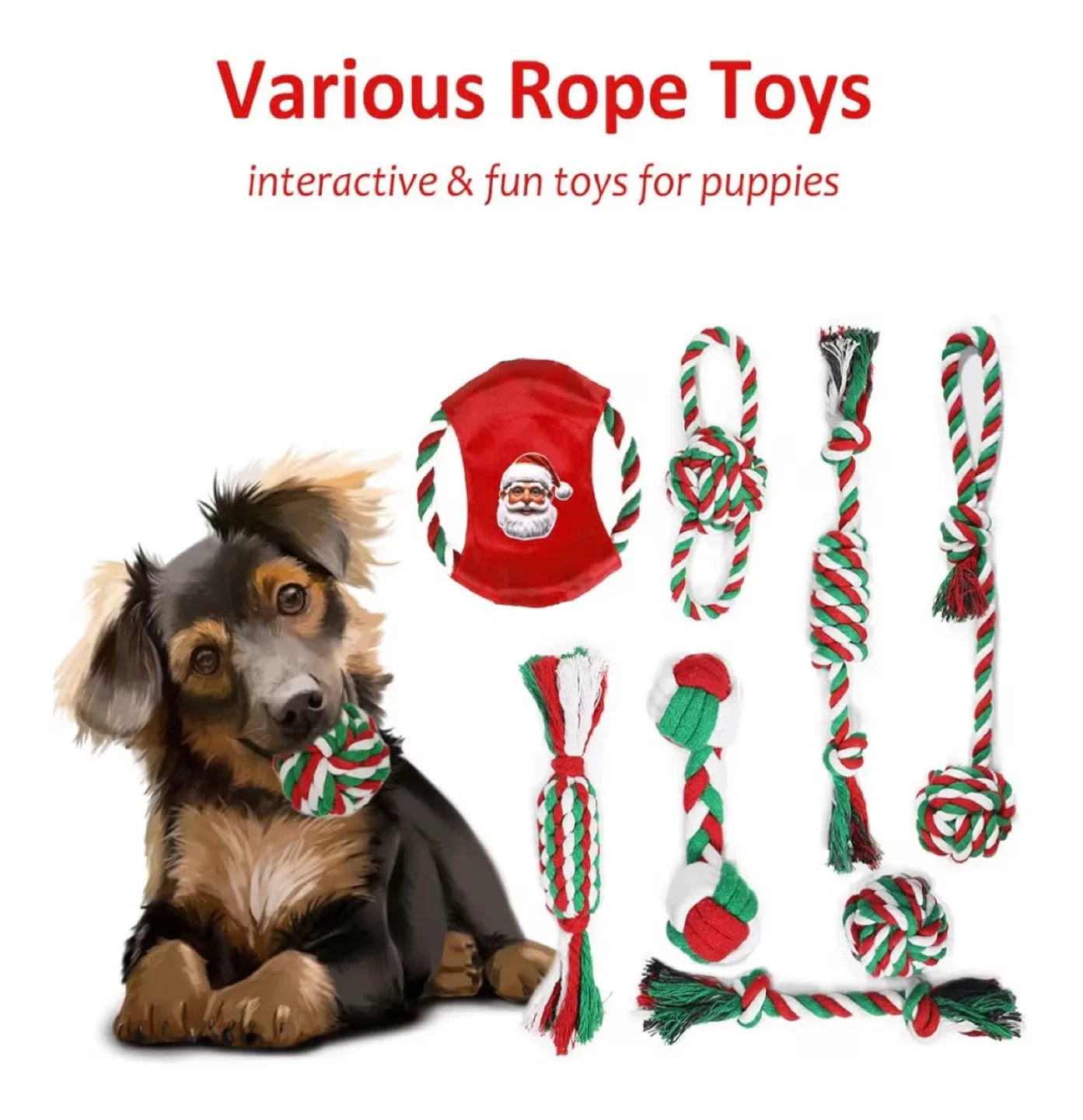 Christmas Dog Toys Set - New in Box! image indicator(5)