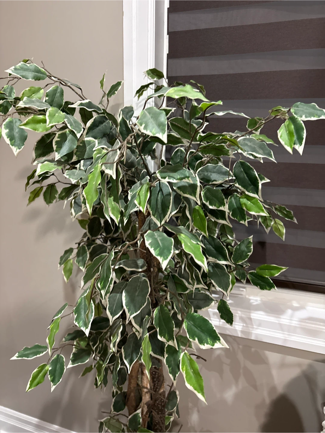 Faux Ficus Tree, Home Decor - photo 2