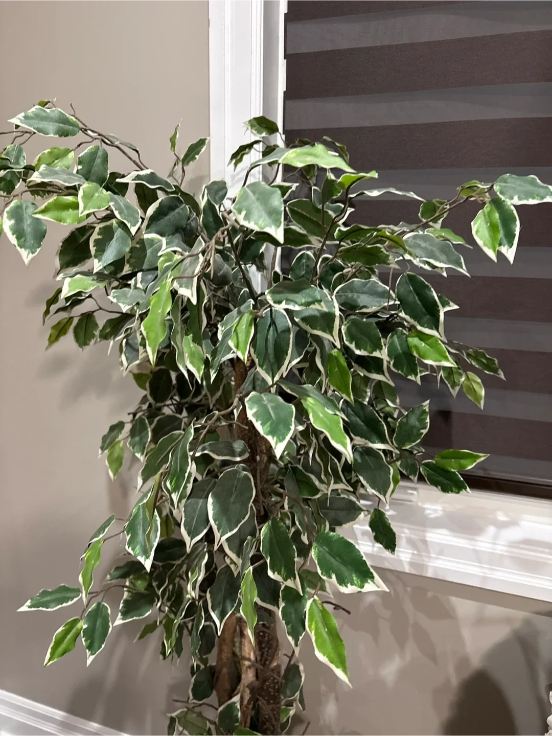 Faux Ficus Tree, Home Decor image indicator(2)