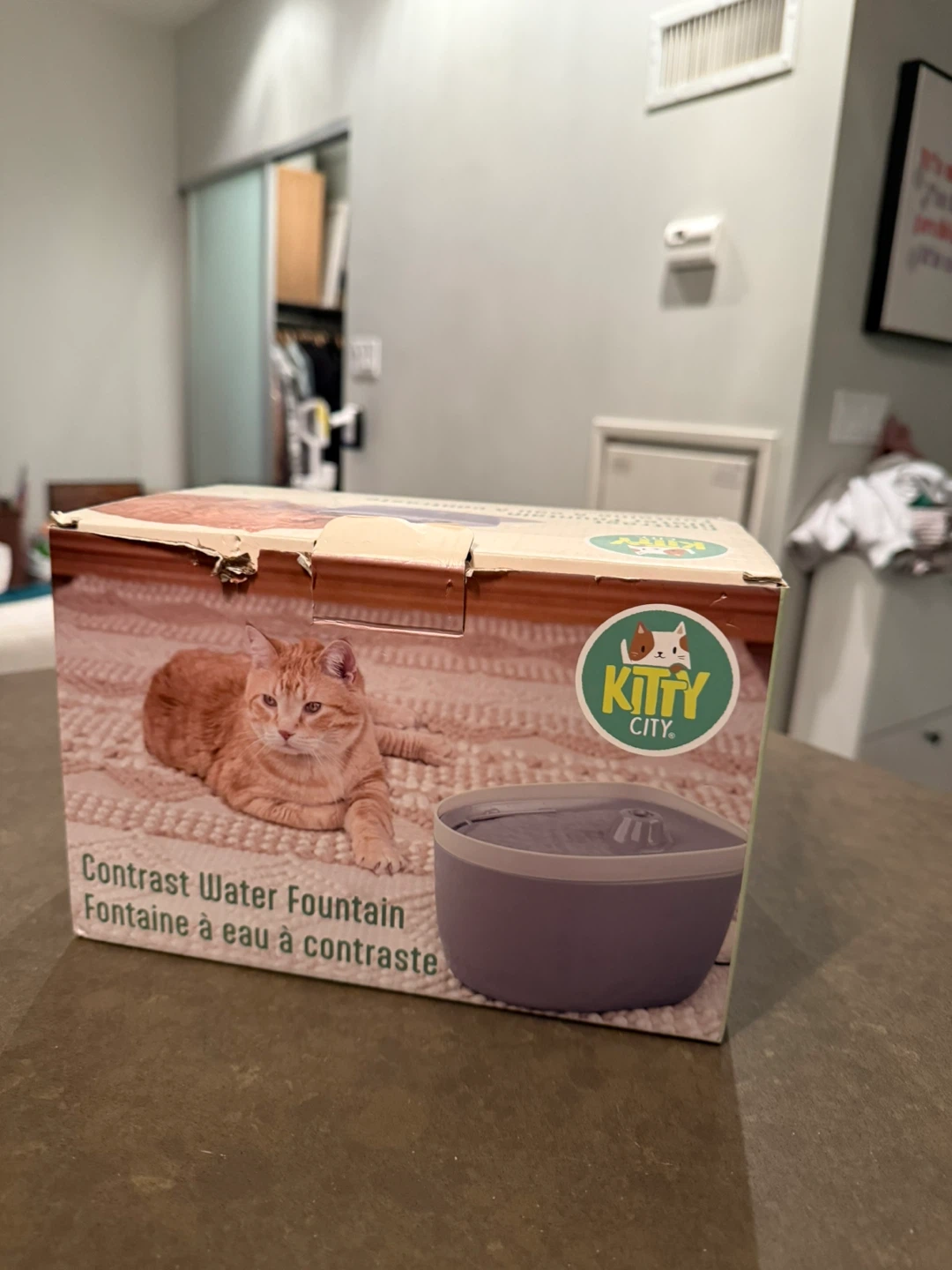 Kitty City Contrast Water Fountain