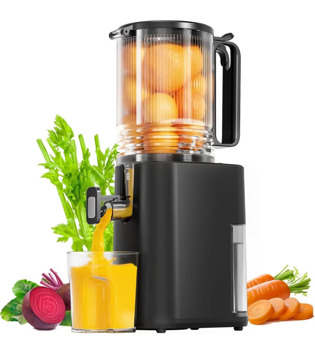 Masticating Juicer with 5.5 Inch Feed Chute
