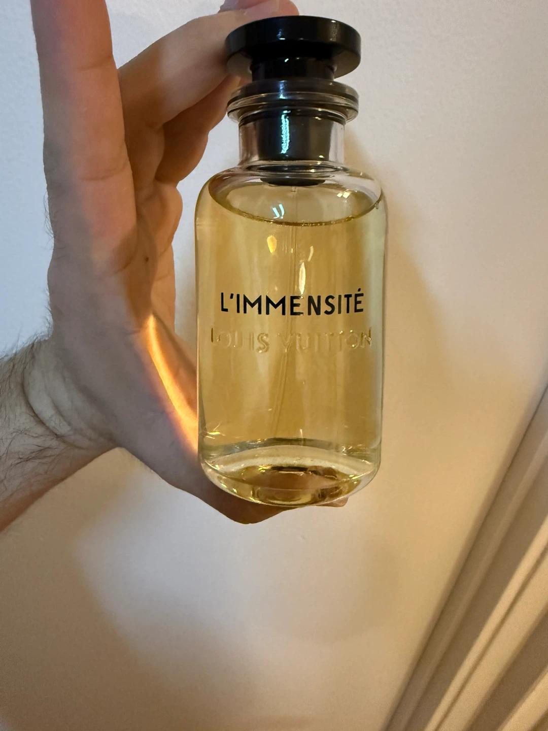Louis Vuitton L'Immensité - photo 3