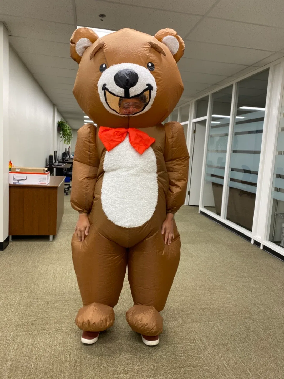 Bear inflatable image indicator(2)