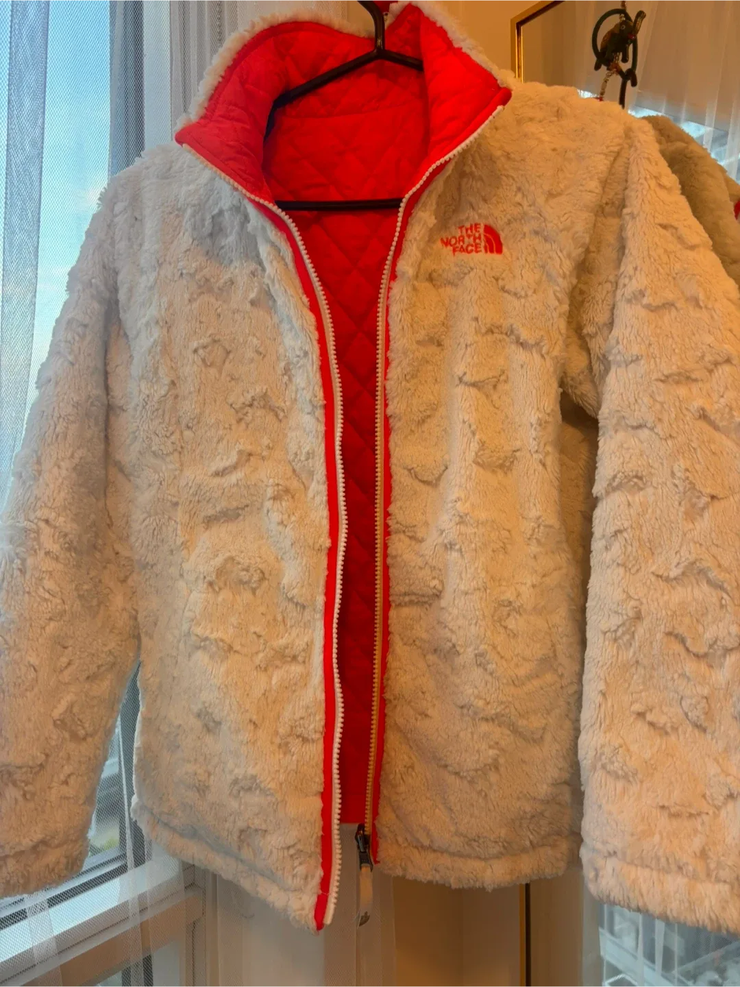 The North Face Reversible Jacket image indicator(4)