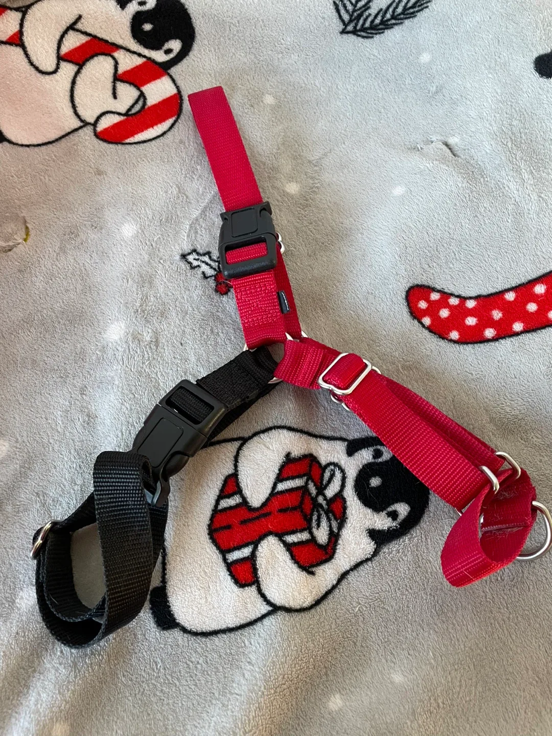 Large Dog Easy Walk Harness image indicator(2)