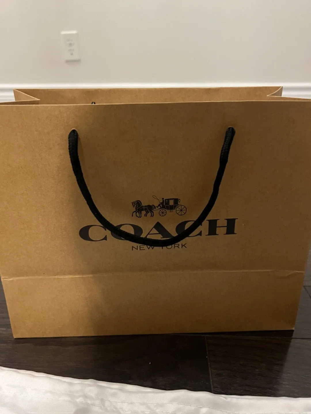 Brand New Coach Bag for Sale image indicator(4)