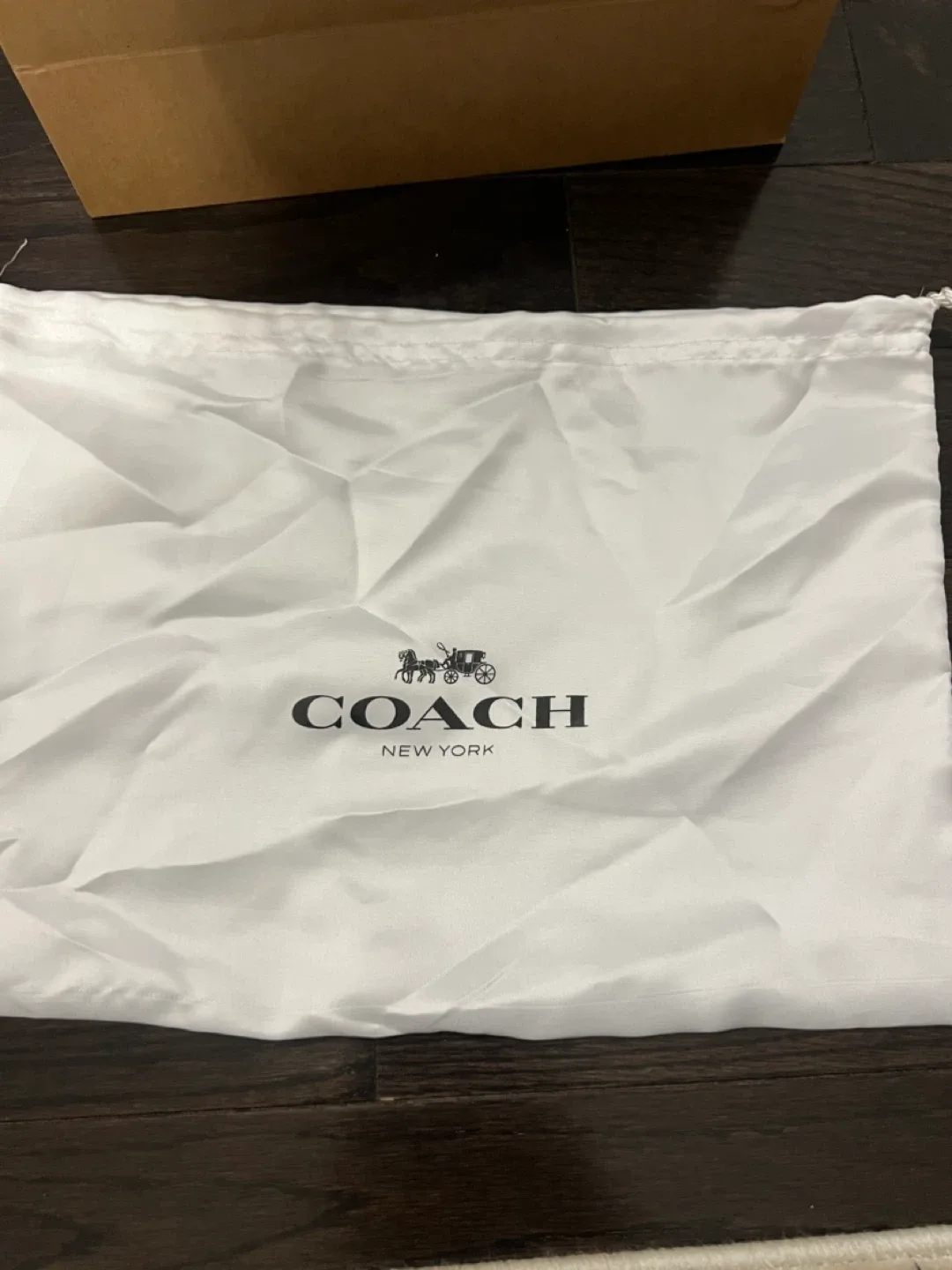 Brand New Coach Bag for Sale image indicator(5)