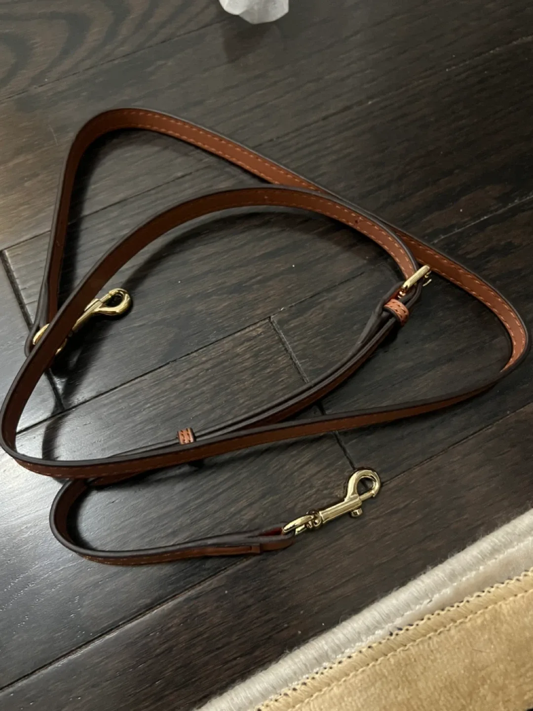 Brand New Coach Bag for Sale image indicator(6)