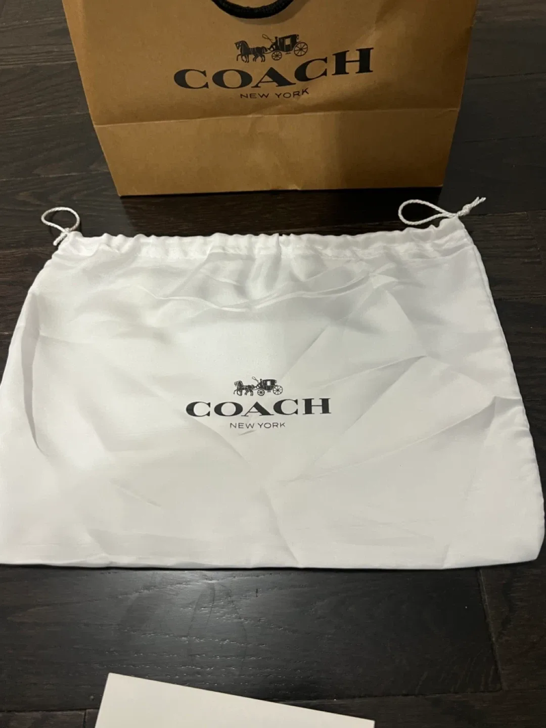 Brand New Coach Bag for Sale image indicator(7)