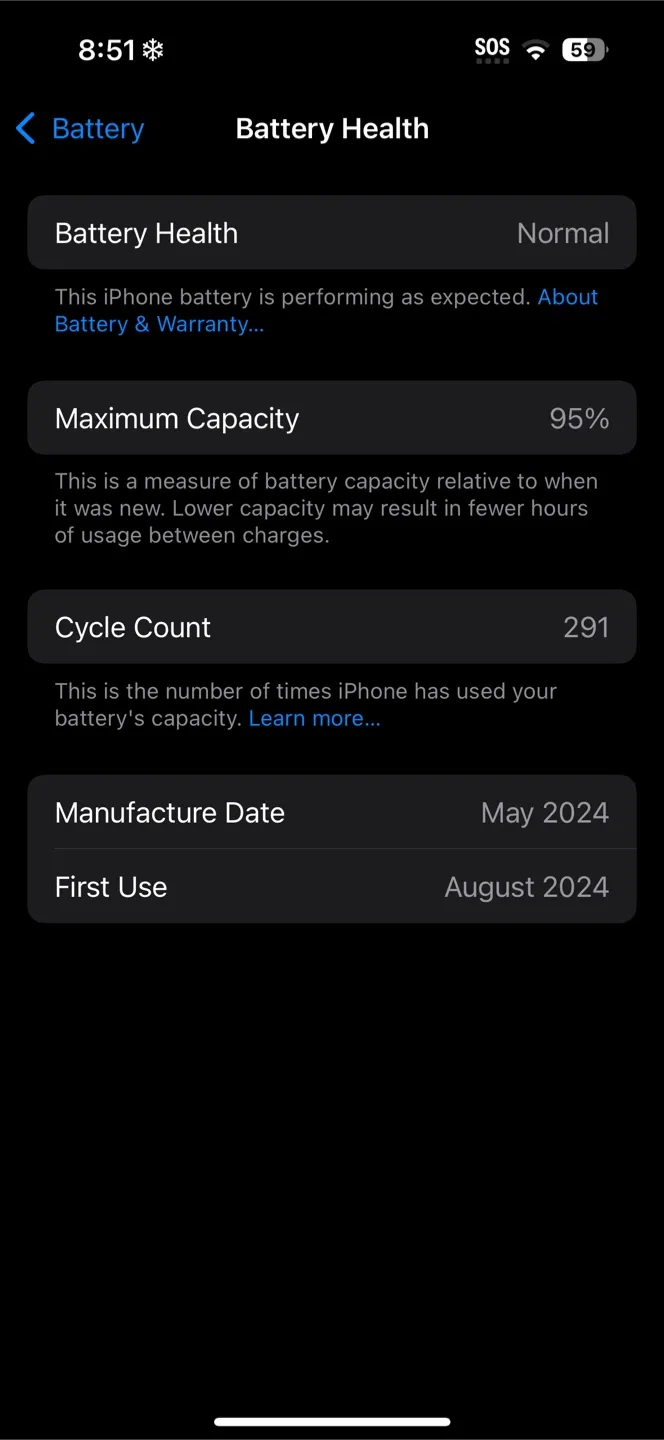 iPhone Battery Health - 95% Capacity