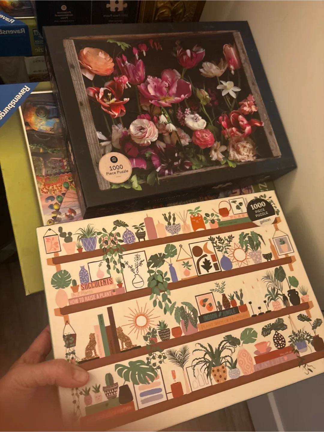 1000 Piece Puzzles image indicator(2)