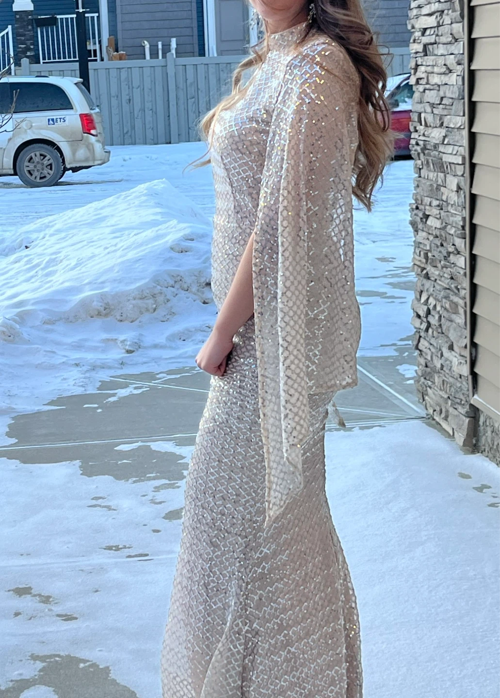 Sequin Gown