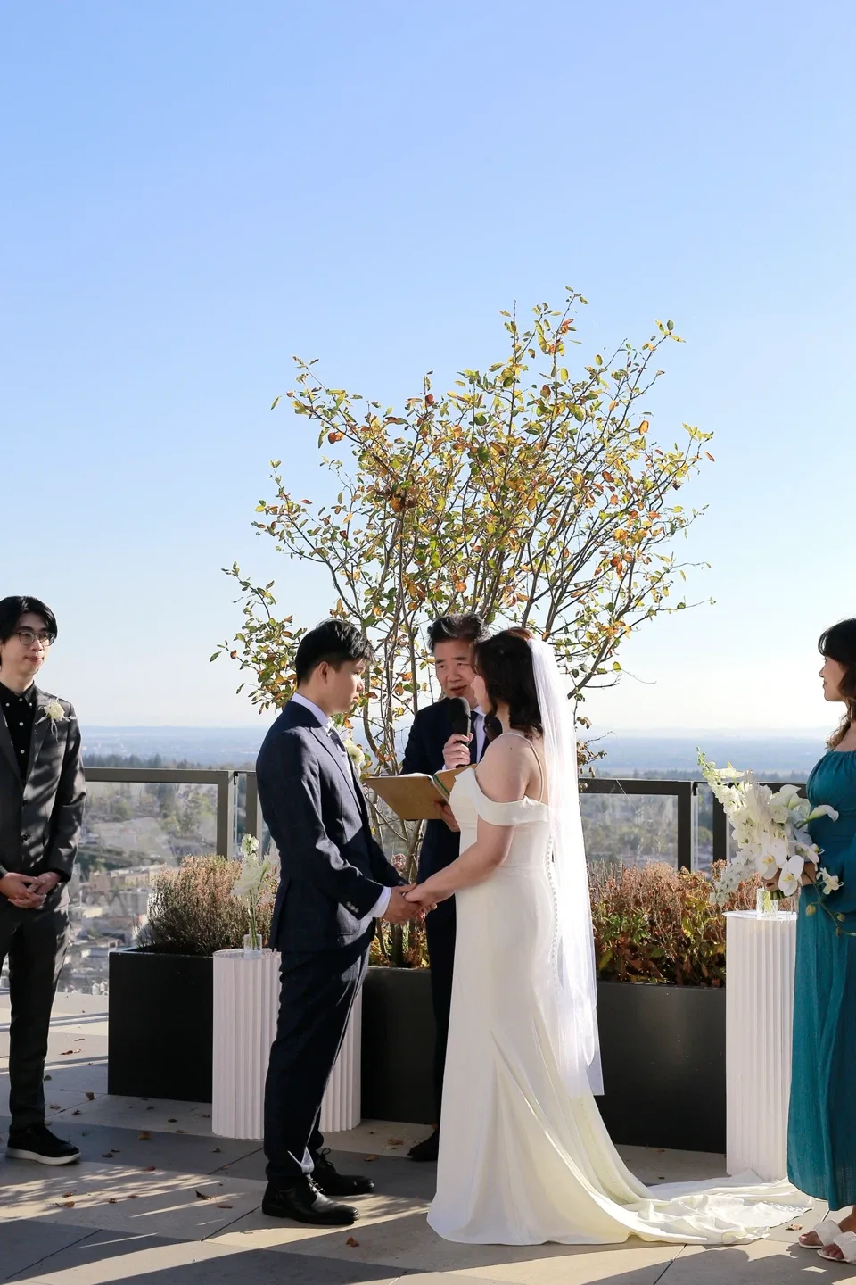 Wedding dress image indicator(6)